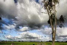 欧国联赛事备受期待，各队强劲氛围凝聚