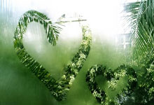 塞尔维亚队连续胜出，晋级在望