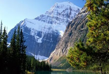 美国篮球队惊险取胜，晋级半决赛