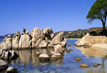 今日焦点：皇马客场征战，挑战尤文图斯的领头羊